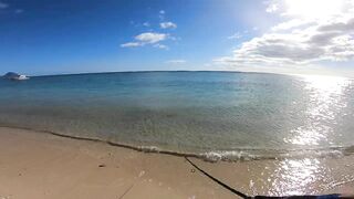 Wolmar Beach, Flic en Flac: shore casting с рассвета