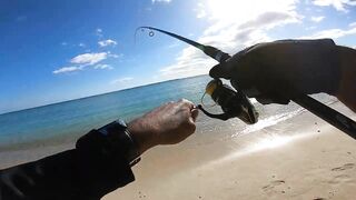 Wolmar Beach, Flic en Flac: shore casting с рассвета