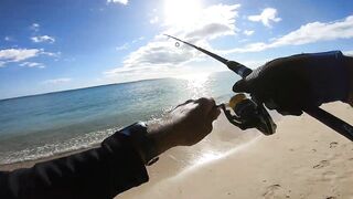 Wolmar Beach, Flic en Flac: shore casting с рассвета