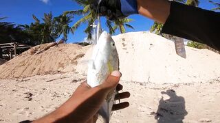 Wolmar Beach, Flic en Flac: shore casting с рассвета