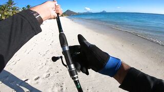 Wolmar Beach, Flic en Flac: shore casting с рассвета