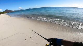 Wolmar Beach, Flic en Flac: shore casting с рассвета