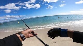 Wolmar Beach, Flic en Flac: shore casting с рассвета