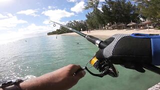 Wolmar Beach, Flic en Flac: shore casting с рассвета