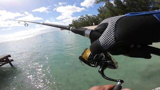 Wolmar Beach, Flic en Flac: shore casting с рассвета