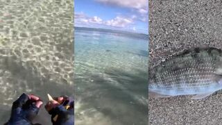 Le Morne shore casting #2 - морская рыбалка на самодельные приманки