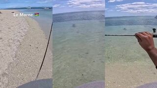 Le Morne - shore casting: морская рыбалка на прибое у мысов Маврикия