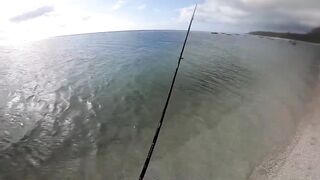 Le Morne — зимняя береговая: пелагик подходит к струе?