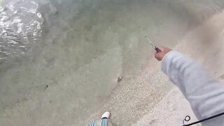 Le Morne — зимняя береговая: пелагик подходит к струе?