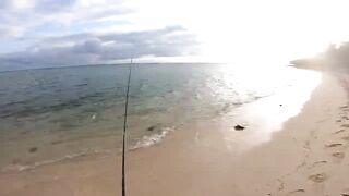 Le Morne — зимняя береговая: пелагик подходит к струе?