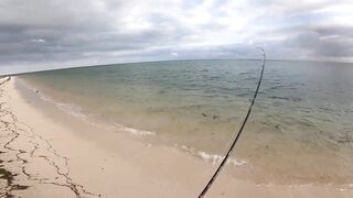 Le Morne — зимняя береговая: пелагик подходит к струе?