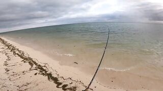 Le Morne — зимняя береговая: пелагик подходит к струе?