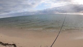 Le Morne — зимняя береговая: пелагик подходит к струе?