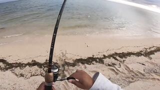 Le Morne — зимняя береговая: пелагик подходит к струе?