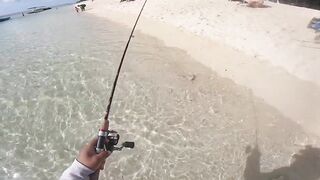 Le Morne — зимняя береговая: пелагик подходит к струе?