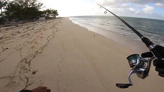 Le Morne — раннее утро: морская рыбалка в Маврикии у камней