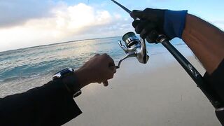 Le Morne — раннее утро: морская рыбалка в Маврикии у камней