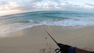 Le Morne — раннее утро: морская рыбалка в Маврикии у камней