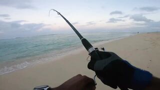 Le Morne — раннее утро: морская рыбалка в Маврикии у камней