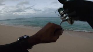 Le Morne — раннее утро: морская рыбалка в Маврикии у камней