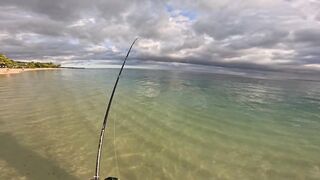 Le Morne, Mauritius: shore casting на закате — снасть и точки