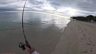 Le Morne, Mauritius: shore casting на закате — снасть и точки