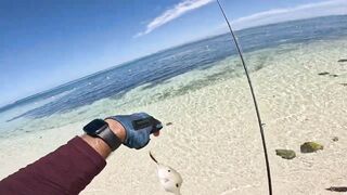 Le Morne — новая снасть Noeby, береговой кастинг на прибое