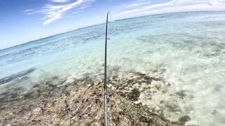 Le Morne — новая снасть Noeby, береговой кастинг на прибое