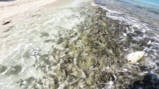 Le Morne — новая снасть Noeby, береговой кастинг на прибое