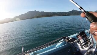 Black River Lagoon — долгожданная кудa: верная тактика проводки