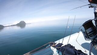 Black River Lagoon — долгожданная кудa: верная тактика проводки