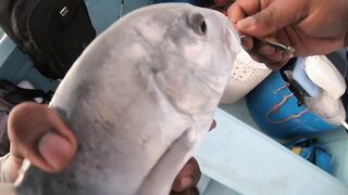 Black River Lagoon — долгожданная кудa: верная тактика проводки