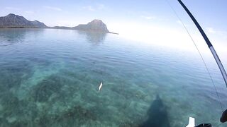 Black River Lagoon — долгожданная кудa: верная тактика проводки