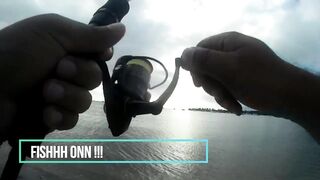 Маврикий - зимняя рыбалка в Black River: ветер, струи и глубины