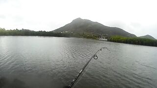 Маврикий - зимняя рыбалка в Black River: ветер, струи и глубины