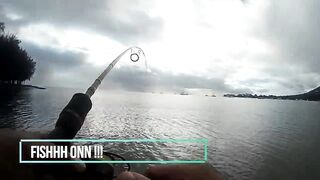 Маврикий - зимняя рыбалка в Black River: ветер, струи и глубины