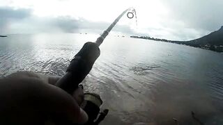 Маврикий - зимняя рыбалка в Black River: ветер, струи и глубины