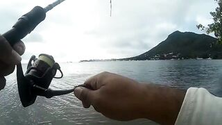 Маврикий - зимняя рыбалка в Black River: ветер, струи и глубины