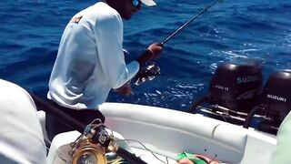 Rivière Noire, Маврикий - рыбалка в лагуне Black River с берега