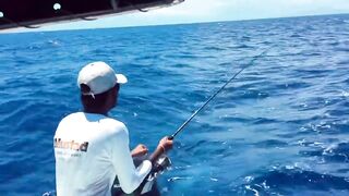 Rivière Noire, Маврикий - рыбалка в лагуне Black River с берега