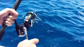 Rivière Noire, Маврикий - рыбалка в лагуне Black River с берега