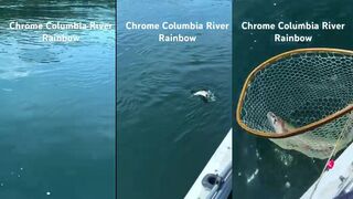 Columbia River: fly fishing на радужную — стоило ехать за «хромом»?