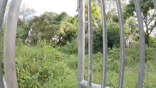 Black River, Маврикий — деревня на лагуне, нужна ли лодка для рыбалки?