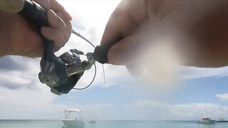 Trou aux Biches — местные советы: морская рыбалка у края лагуны