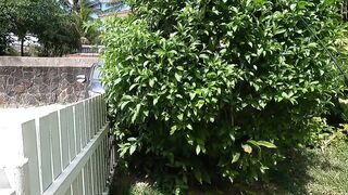 Trou aux Biches — местные советы: морская рыбалка у края лагуны