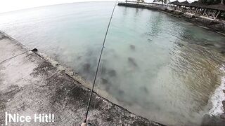 Trou aux Biches — shore casting, эпизод 3: сменить ли поводок?