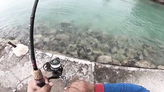 Trou aux Biches — shore casting, эпизод 3: сменить ли поводок?