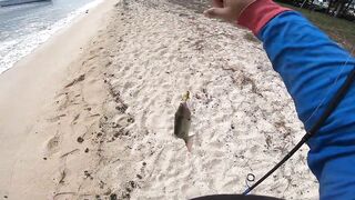 Trou aux Biches — shore casting, эпизод 3: сменить ли поводок?