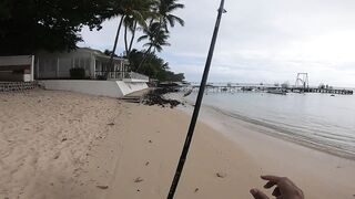 Trou aux Biches — shore casting, эпизод 3: сменить ли поводок?