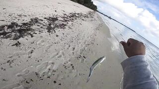 Trou aux Biches — легкий способ на тревалли: морская рыбалка в прибое